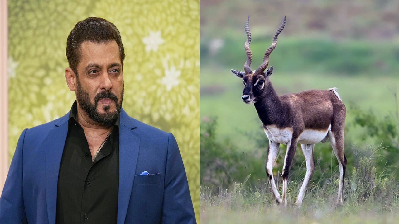 سلمان خان کا کیا ہوگا؟ کالے ہرن کے شکار کیس میں عدالت میں اہم سماعت؛ سب سے اہم دن!