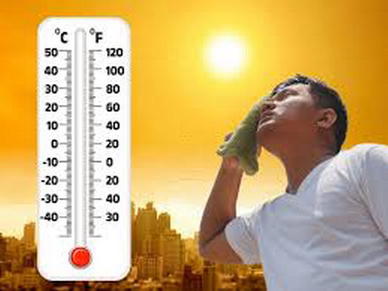 گرمی کی لہر سے تحفظ کے لیے ریاستی حکومت کی تین جامع ایس او پیز جاری