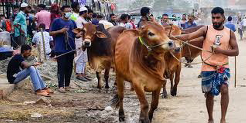 بنگال: عید الاضحیٰ سے قبل قربانی سے متعلق ضابطوں پر عرضیاں خارج ,حکومت کو 24 گھنٹے میں فیصلہ کا حکم