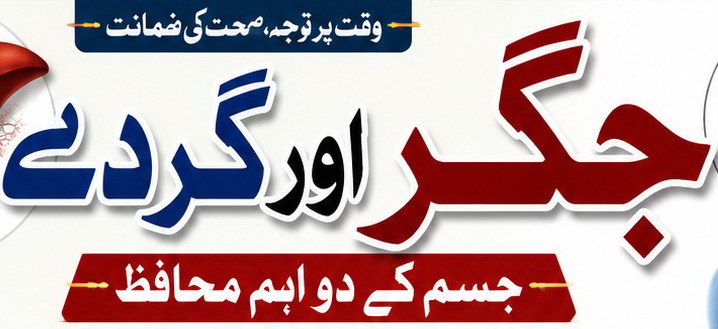 جگر اور گردے: جسم کے دو اہم محافظ
